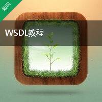 WSDL教程