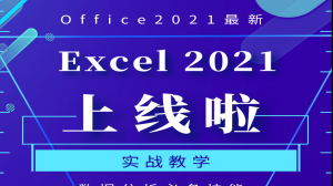 数据分析：Excel 2021从入门到项目实战